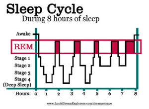 Sleep cycle graphic